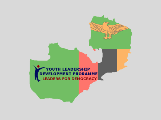 Youth Leadership Development Programme