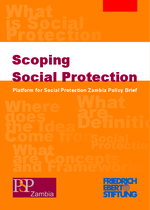 Scoping social protection